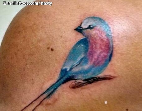 Foto de tatuaje Aves, Animales