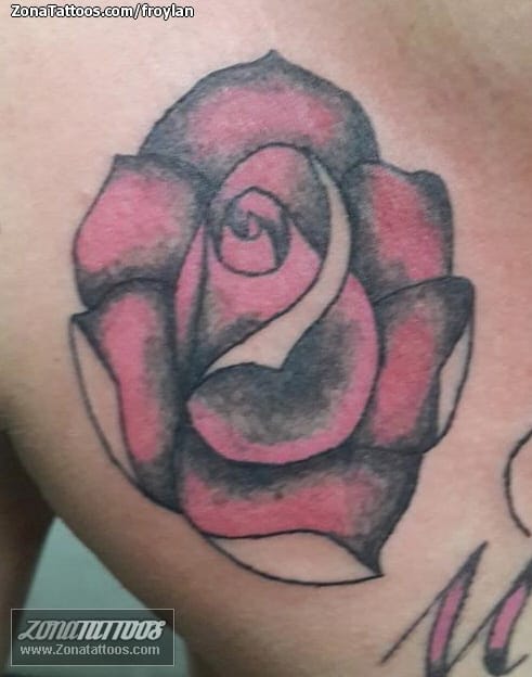 Tattoo photo Roses, Flowers