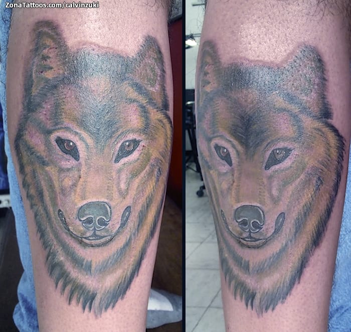 Foto de tatuaje Animales