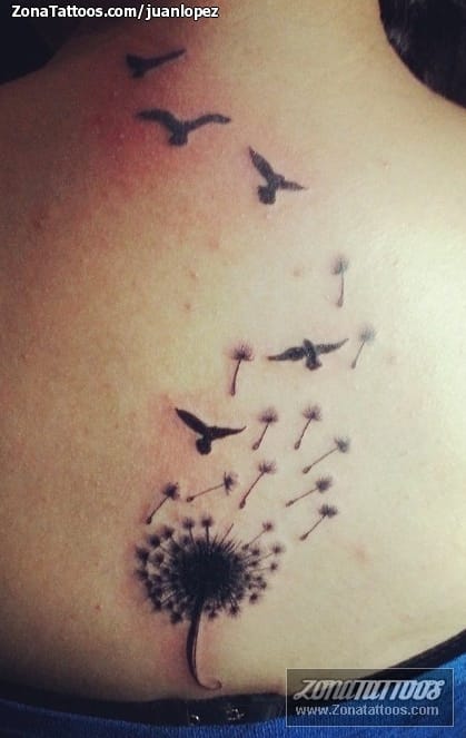 Tattoo photo Dandelions, Birds, Back