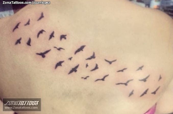 Foto de tatuaje Aves, Animales