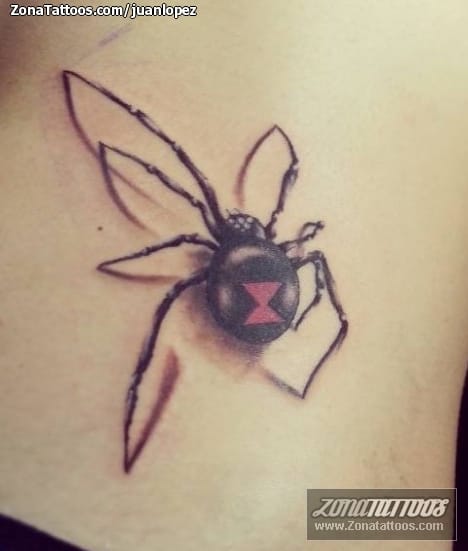 Foto de tatuaje Arañas, Insectos