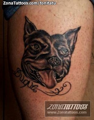 Foto de tatuaje Perros, Animales