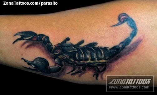 Tattoo photo Scorpions, Insects
