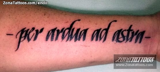 Foto de tatuaje Frases, Latín, Letras