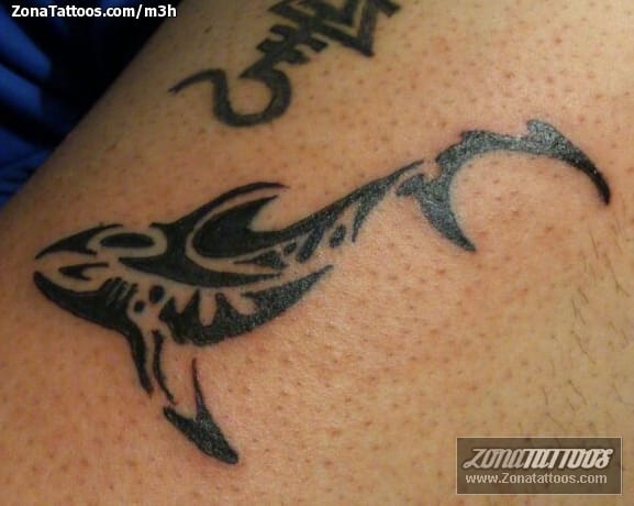 Foto de tatuaje Tiburones, Tribales, Animales