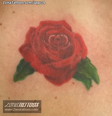 Tattoo photo Roses, Flowers