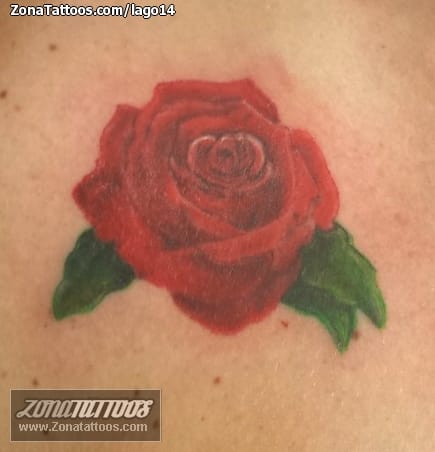 Foto de tatuaje Rosas, Flores