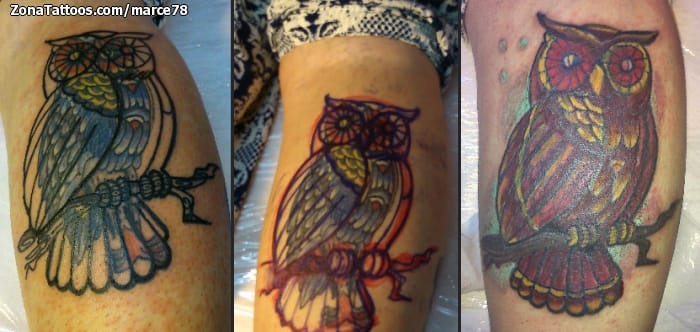 Foto de tatuaje Búhos, Aves, Animales