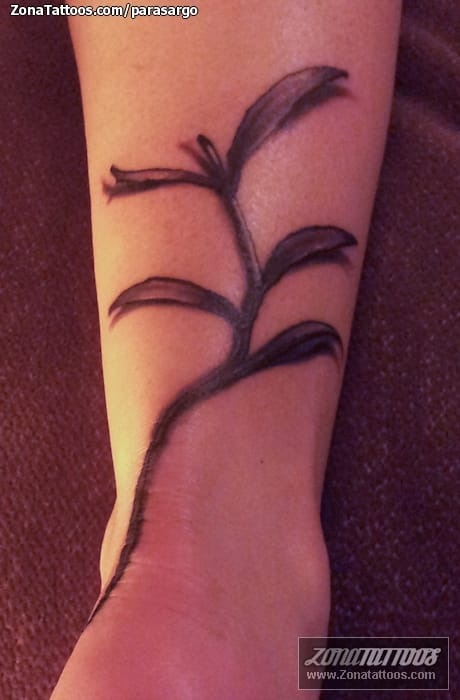 Foto de tatuaje Plantas