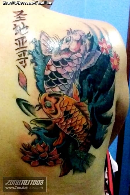 Foto de tatuaje Koi, Peces, Orientales