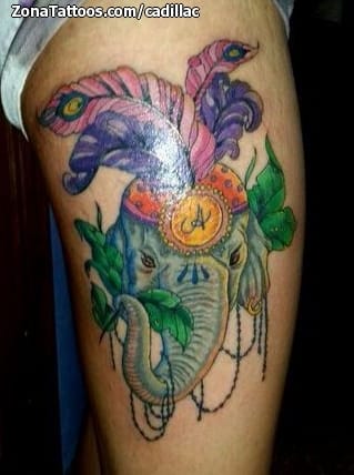 Tattoo photo Elephants, Animals, Feathers