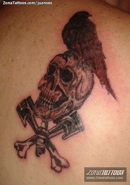 Foto de tatuaje Calaveras, Aves, Animales