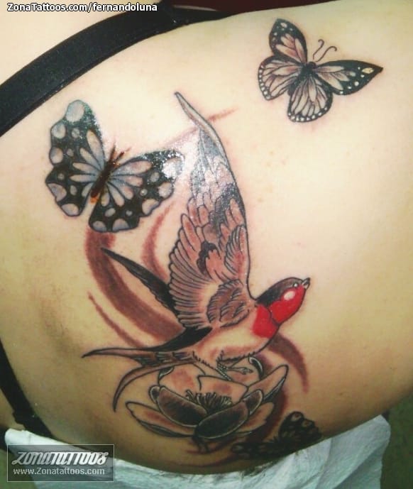 Foto de tatuaje Animales, Aves, Mariposas