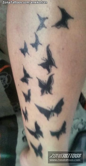 Foto de tatuaje Mariposas, Insectos