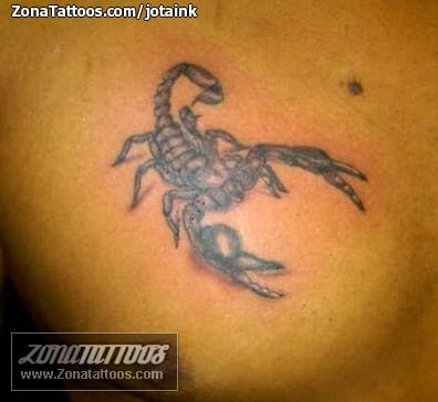 Tattoo photo Scorpions, Insects, Chest