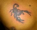 Tatuaje de Jotaink