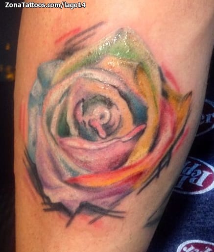 Foto de tatuaje Rosas, Antebrazo, Flores