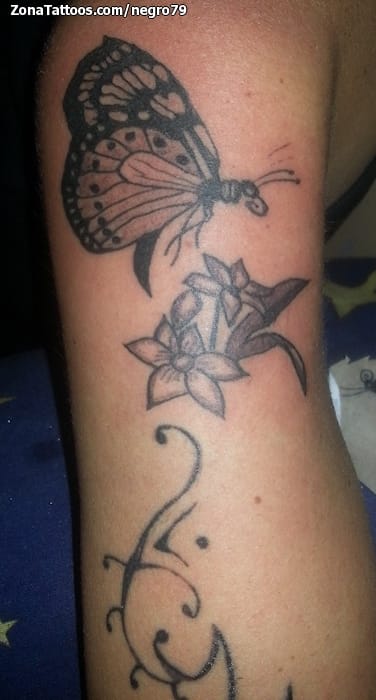 Foto de tatuaje Mariposas, Insectos