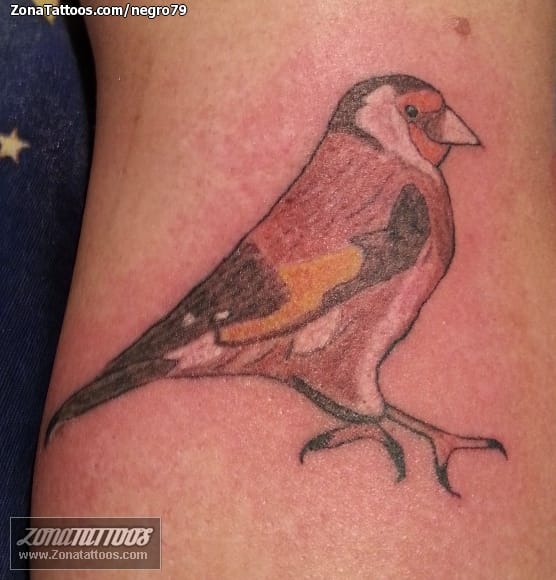 Tattoo photo Birds, Animals