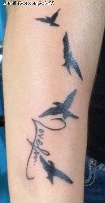 Tattoo photo Birds, Animals