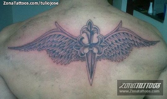 Tattoo photo Wings, Crosses, Back