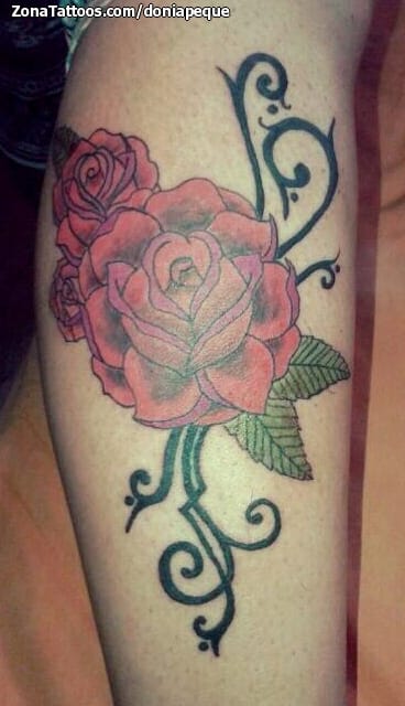 Foto de tatuaje Rosas, Filigranas, Flores