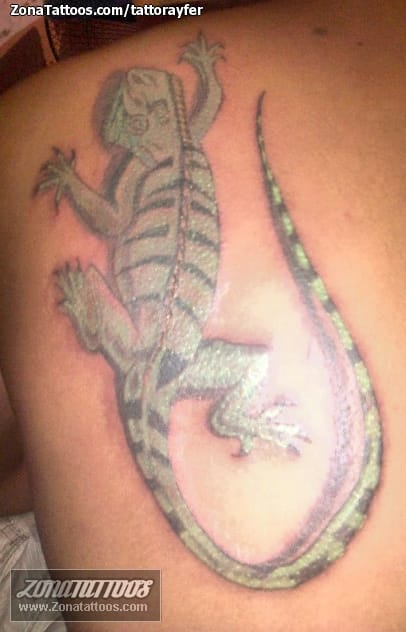 Tattoo photo Iguanas, Lizards, Animals