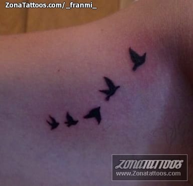 Foto de tatuaje Aves, Animales