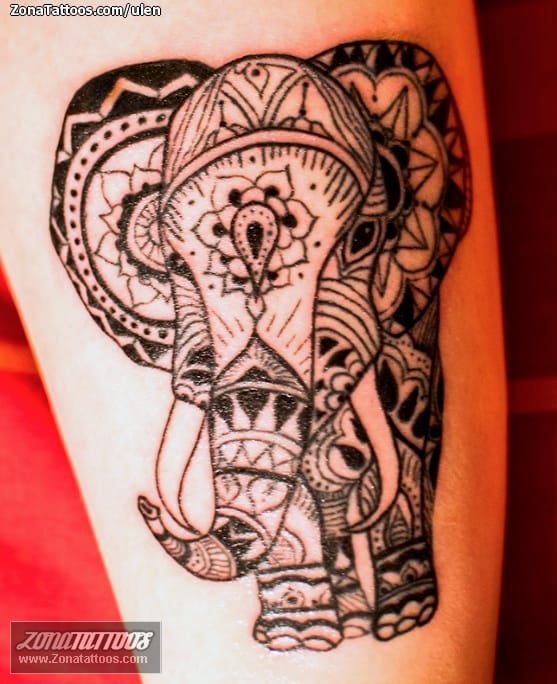 Tattoo photo Elephants, Animals