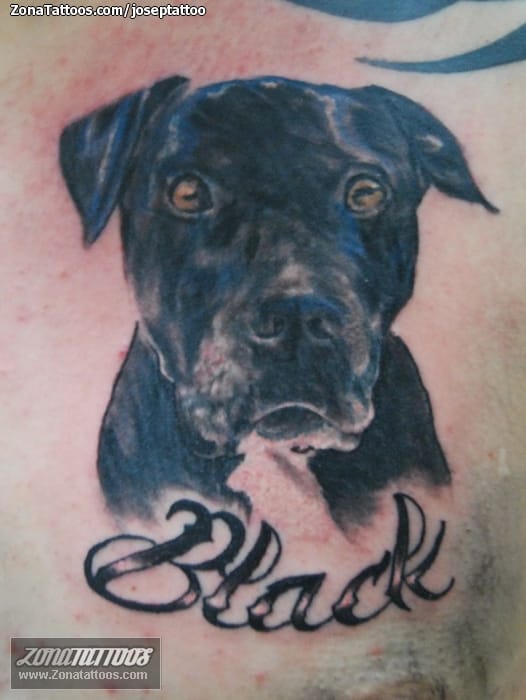 Foto de tatuaje Perros, Animales