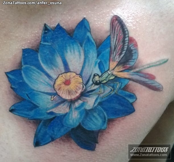 Tattoo photo Dragonflies, Insects, Lotus