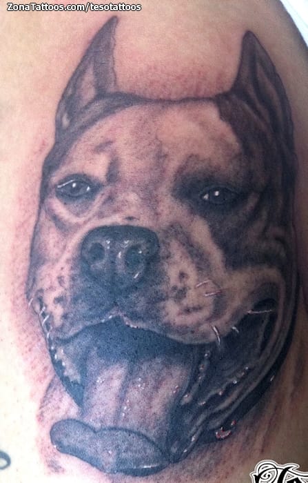 Foto de tatuaje Perros, Animales, Pitbulls