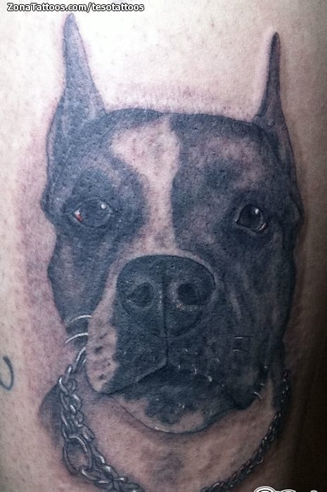 Foto de tatuaje Perros, Animales, Pitbulls