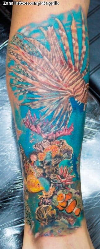 Foto de tatuaje Peces, Corales, Animales