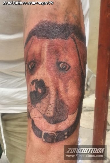 Tattoo photo Dogs, Animals