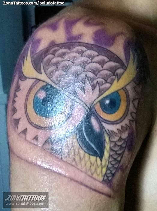 Tattoo photo Owls, Birds, Animals