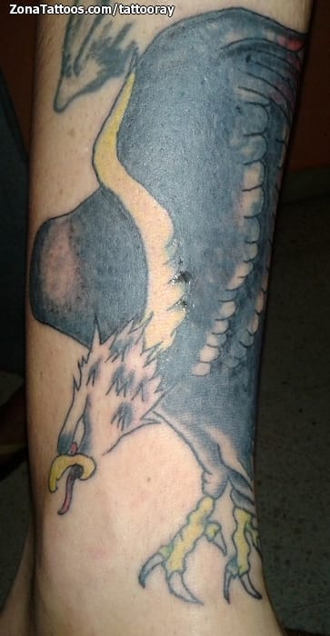 Tattoo photo Animals, Birds, Cover Up