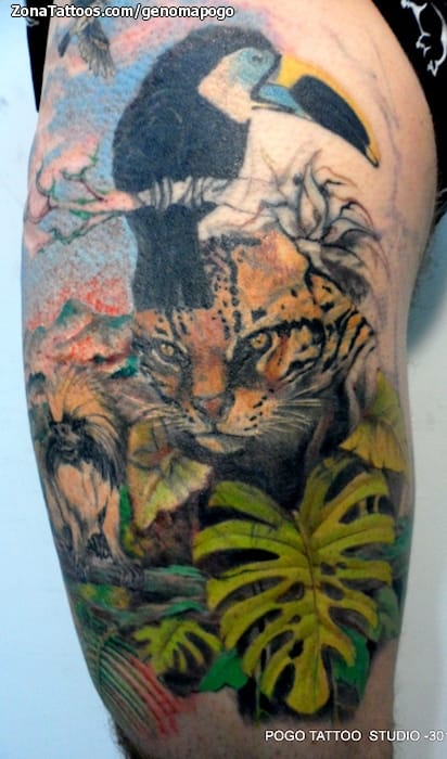 Tattoo photo Birds, Jaguar, Toucans