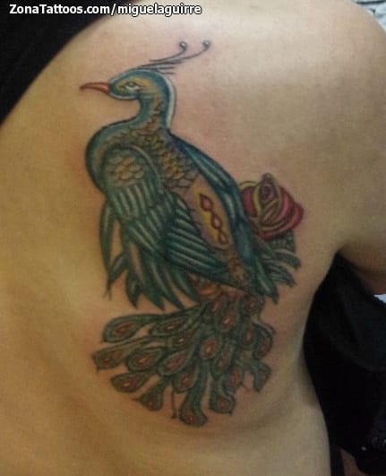 Foto de tatuaje Pavos, Aves, Animales