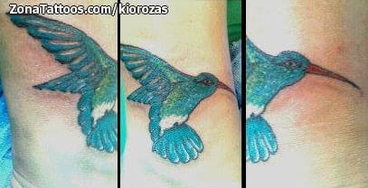 Foto de tatuaje Colibríes, Aves, Animales