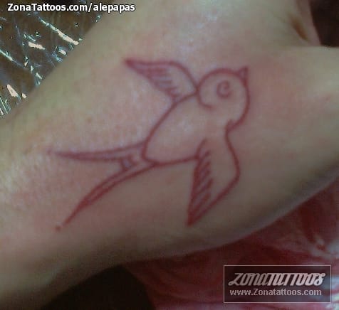 Foto de tatuaje Golondrinas, Aves, Animales