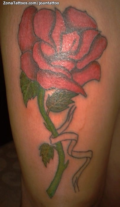 Tattoo photo Roses, Flowers