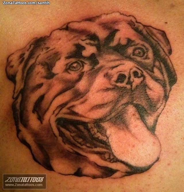 Foto de tatuaje Perros, Animales