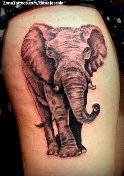 Tattoo photo Animals, Elephants