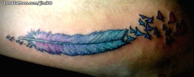 Tattoo photo Feathers, Birds