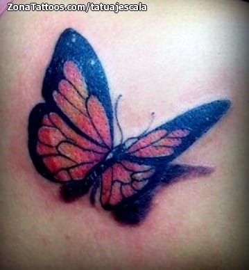 Foto de tatuaje Mariposas, Insectos