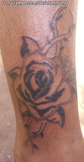 Tattoo photo Roses, Flowers