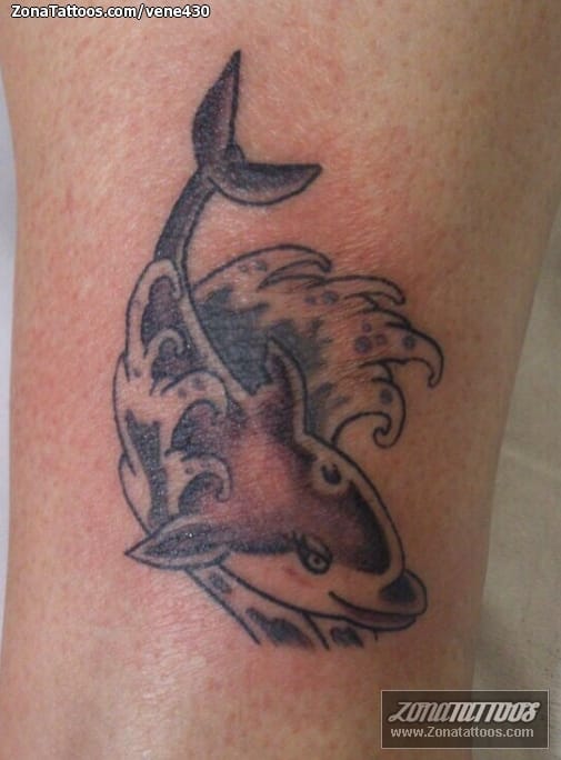 Foto de tatuaje Delfines, Animales