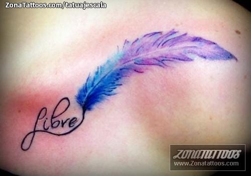 Tattoo photo Feathers